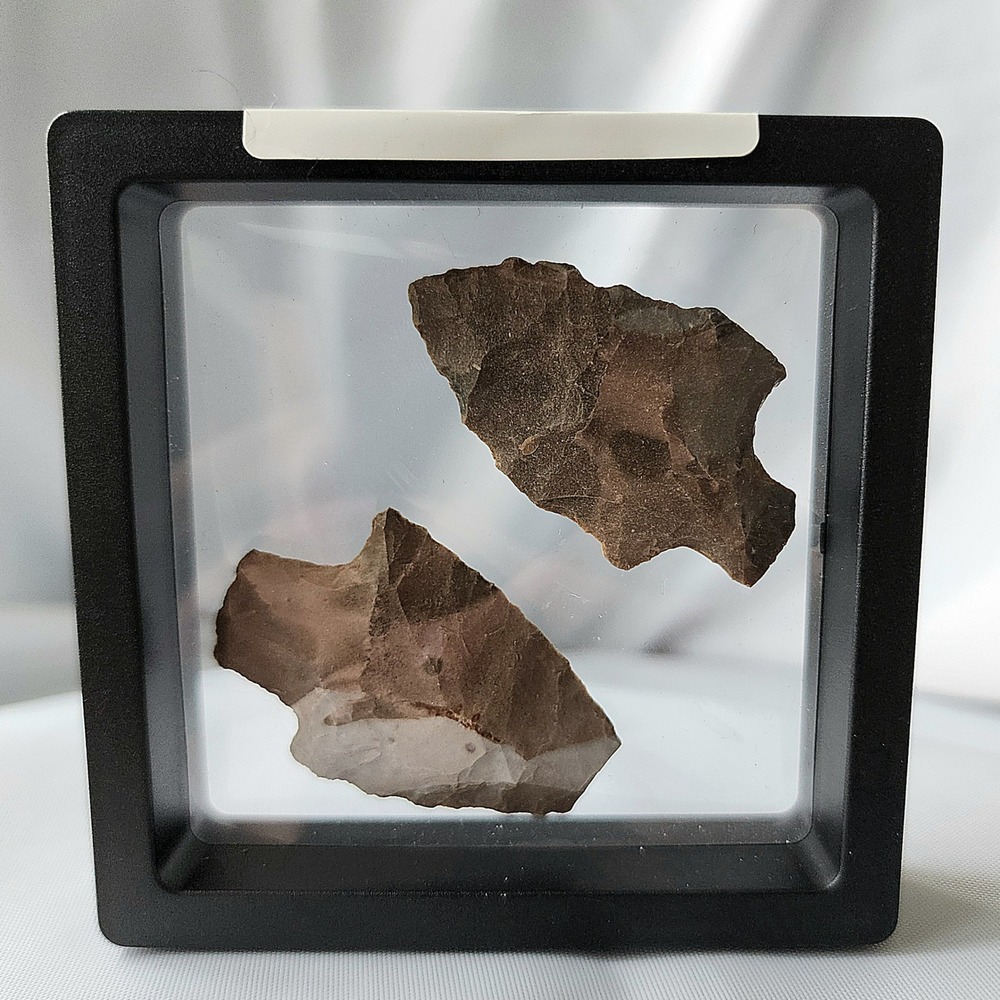 Two Native American Alabama‎ Arrowheads Early Stone Tools Authentic History Rare
